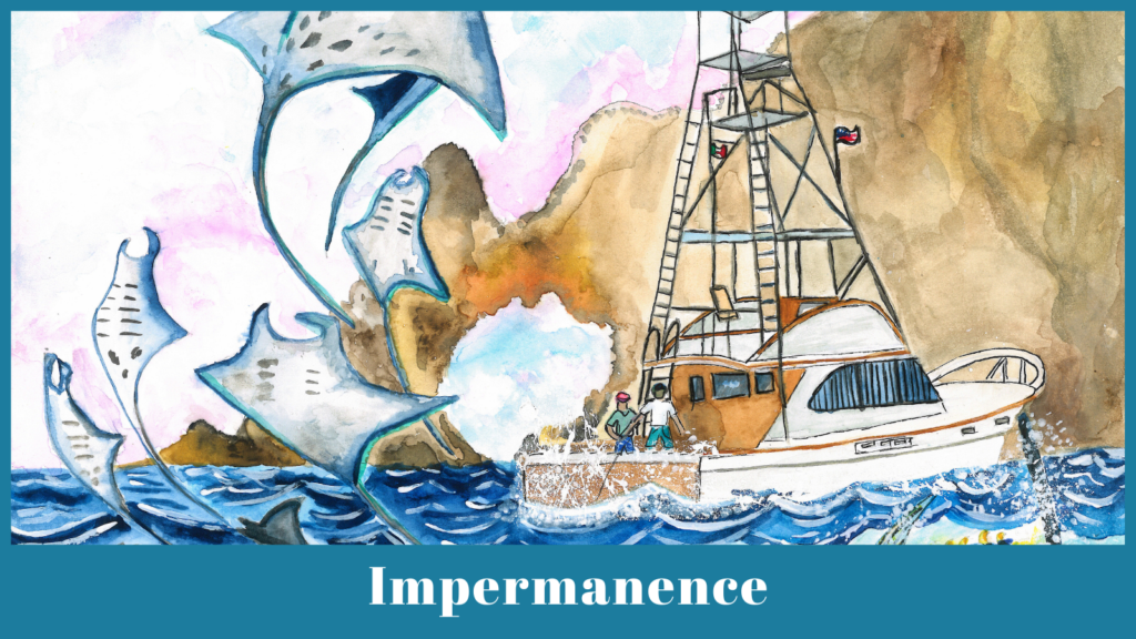 Cabo 6 Impermanence